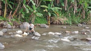 warga mengumpulkan dan mengambil bangkai domba dan kambing dari 220621165745 145