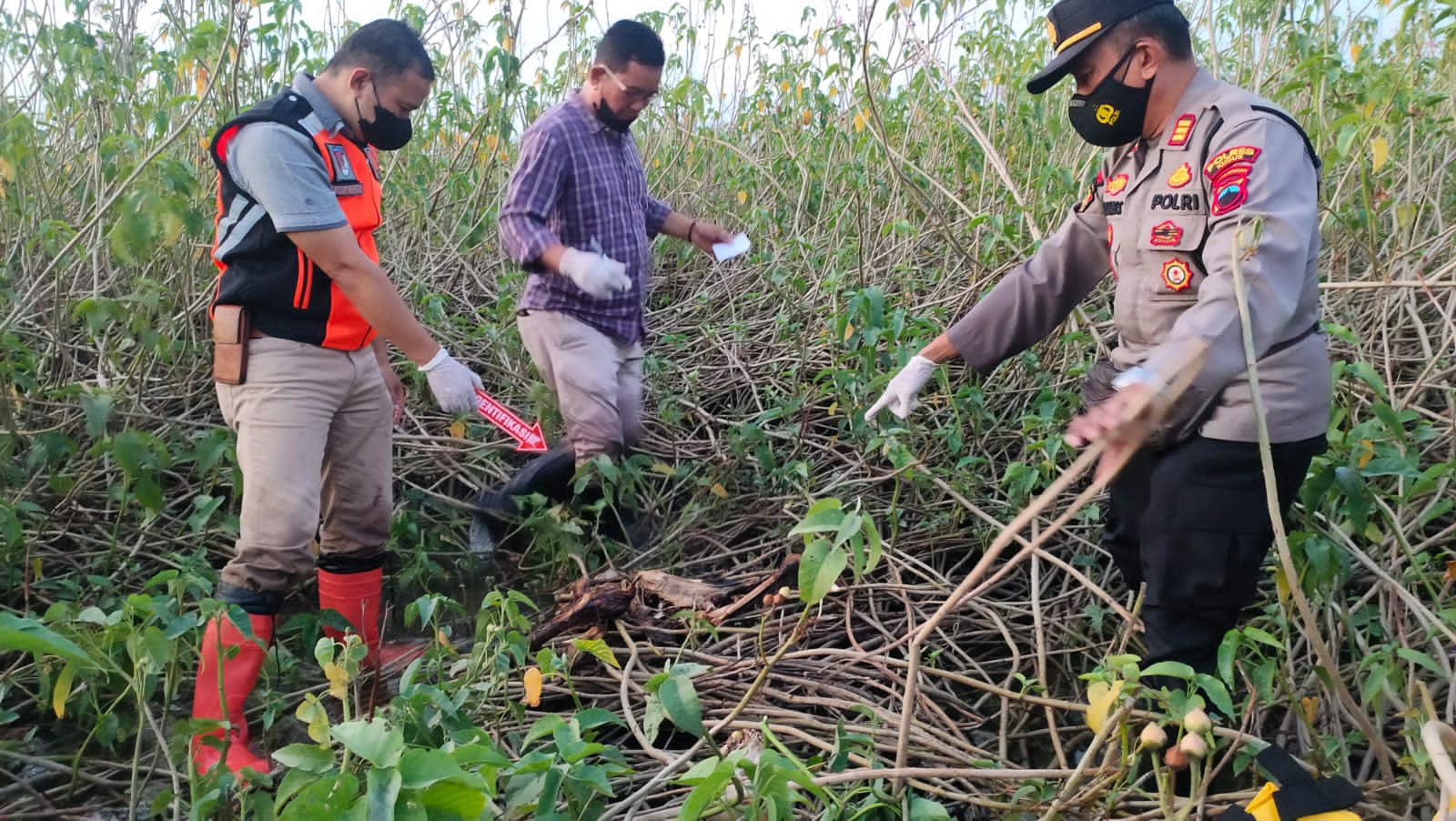Warga Bulungcangkring Kudus digegerkan Penemuan Kerangka Manusia di Sawah