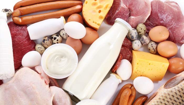 Ilustrasi bahan pangan yang kemungkinan terkontaminasi bakteri E. coli (foto: Iowa Farm Bureau)