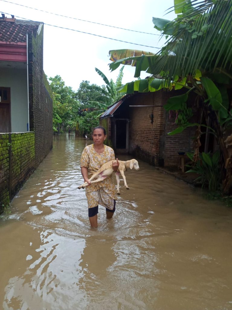 Ini Potret Banjir di Desa Sowan Kidul yang Rendam Rumah 200 KK 2 WhatsApp Image 2023 02 23 at 15.29.39