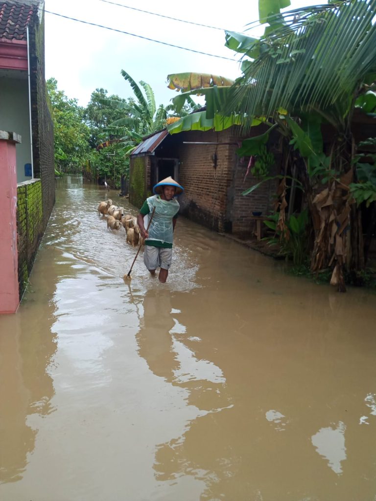 Ini Potret Banjir di Desa Sowan Kidul yang Rendam Rumah 200 KK 3 WhatsApp Image 2023 02 23 at 15.31.00