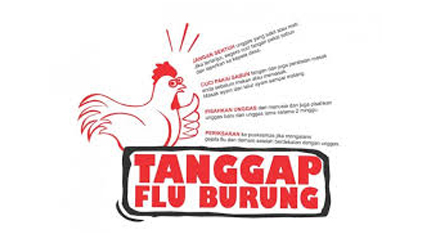 Kewaspadaan terhadap kejadian luar biasa (KLB) flu burung Clade baru terus disebarkan oleh Kemenkes (Foto: Kemenkes)