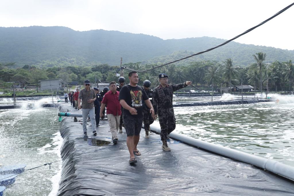 Kementerian Kelautan dan Perikanan (KKP) melakukan sidak ke Karimunjawa mengecek langsung tambak udang (Foto: KKP)