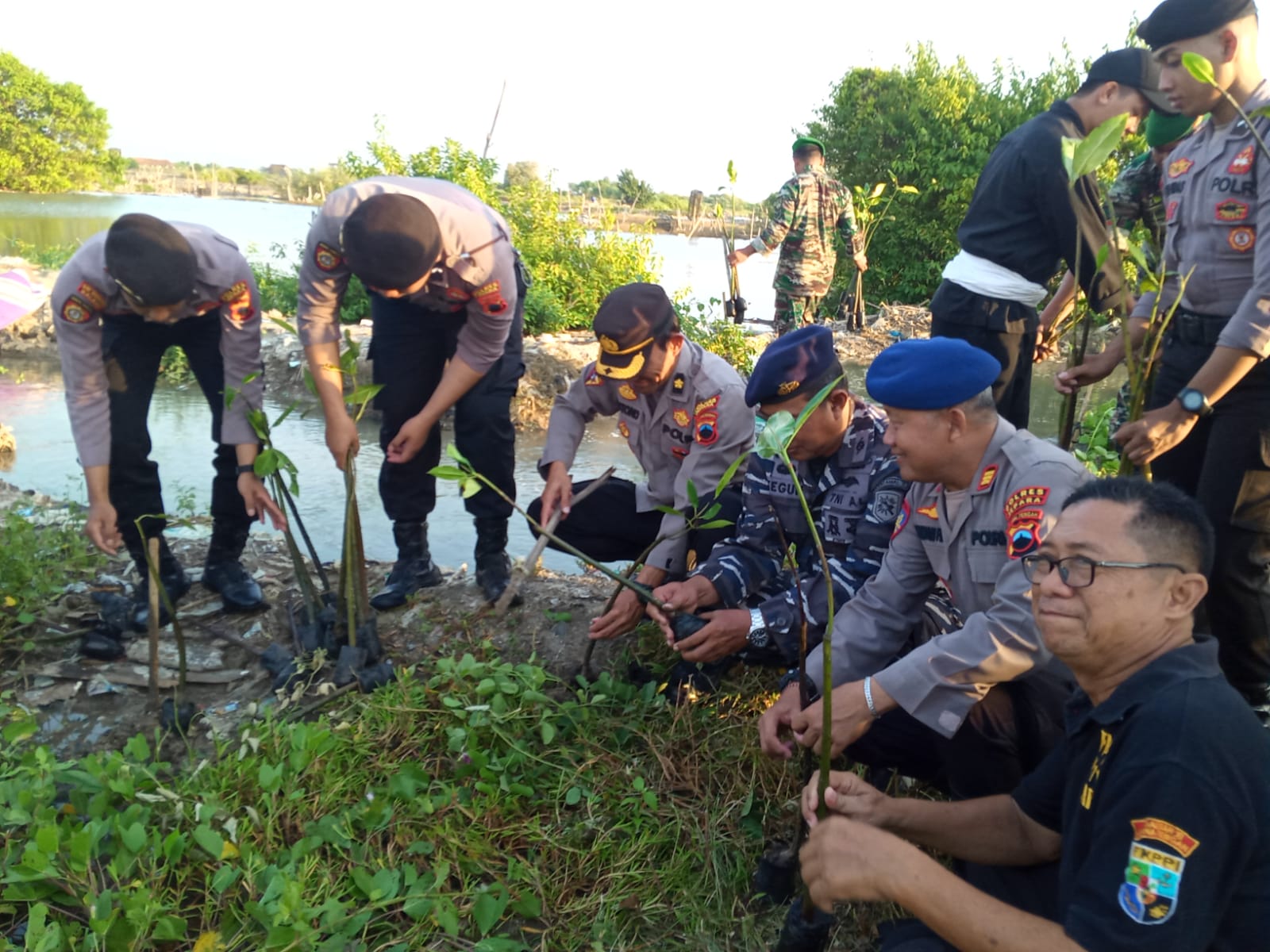 TNI Polri melakukan penanaman mangrove di Segoro Bulak Baru, Jepara, Senin (15/5) (KlikFakta/Nur Ithrotul Fadhilah)
