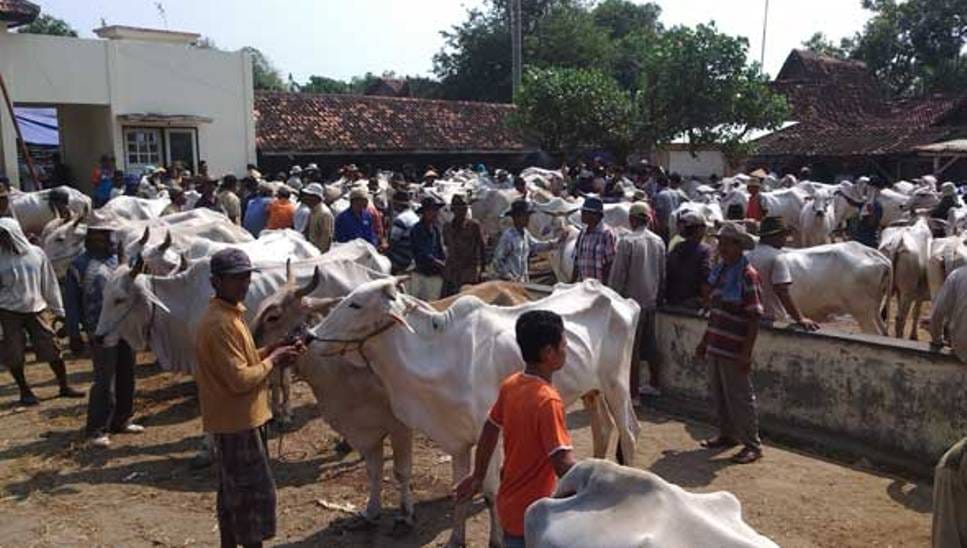 Kondisi pasar hewan di Keling, Jepara (sumber: akun Facebook Pasar Hewan Keling)