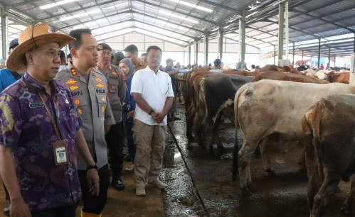 Polres Jepara bersama Dinas Ketahanan Pangan dan Pertanian Jepara melakukan pemantauan hewan kurban di sejumlah titik penjualan di Jepara pada Jumat (23/6/2023) (Foto: Medcom.id)