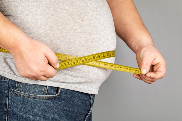 Ilustrasi obesitas (Foto: Kompas.com)