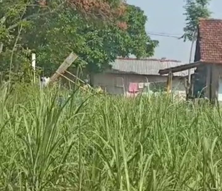 Tangkapan layar video dugaan pengerusakan banner yang dinilai semena-mena (istimewa)
