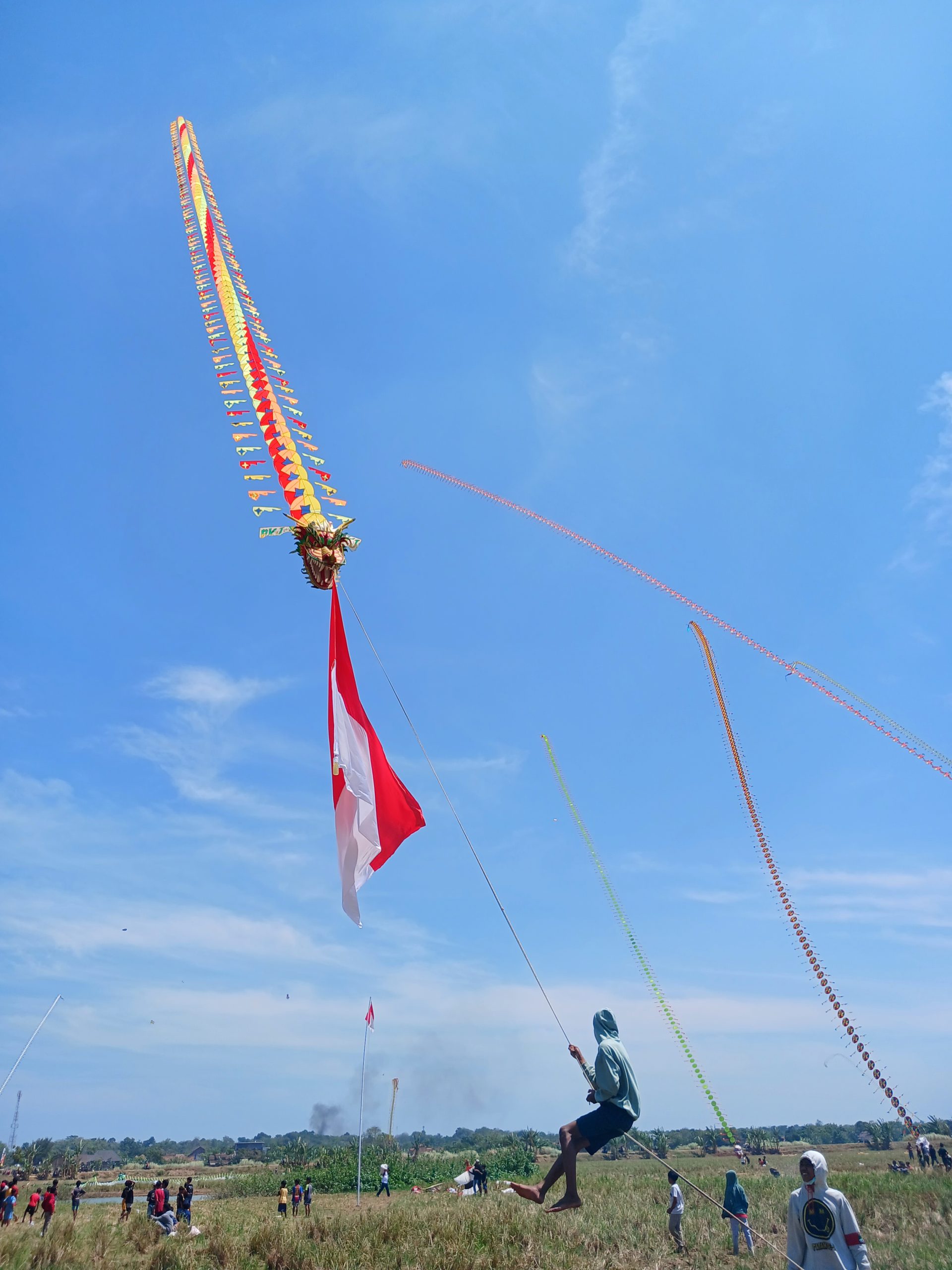 Salah satu peserta menerbangkan layang-layang naga dalam kontes yang berlangsung di JLS Ngeling, Kecamatan Kedung, Kabupaten Jepara, Kamis (17/8/2023) (KlikFakta.com/Nur Ithrotul Fadhilah)