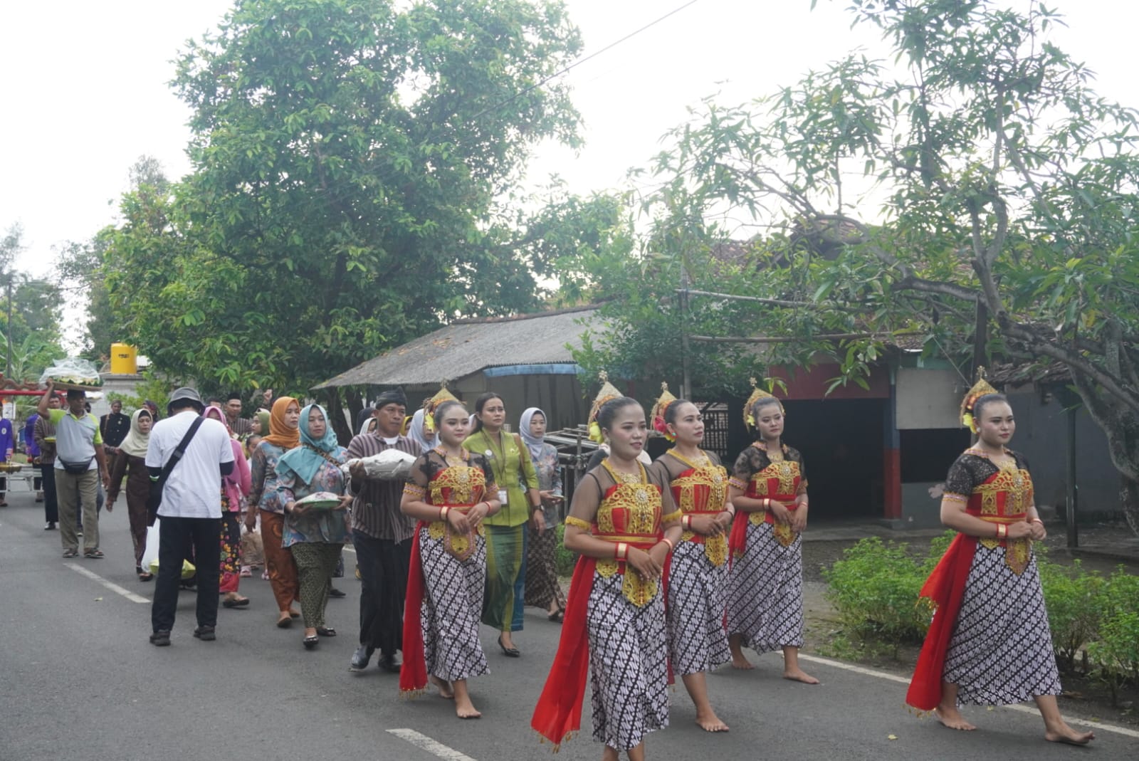 Prosesi kirab dalam ritual wiwit panen Umbul Dongo Wiwit Pari pada Kamis (25/4/2024)