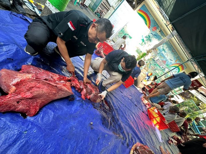 Pemeriksaan daging hewan kurban oleh petugas kesehatan hewan Dispertan Kudus (Foto: MetroTVNews)
