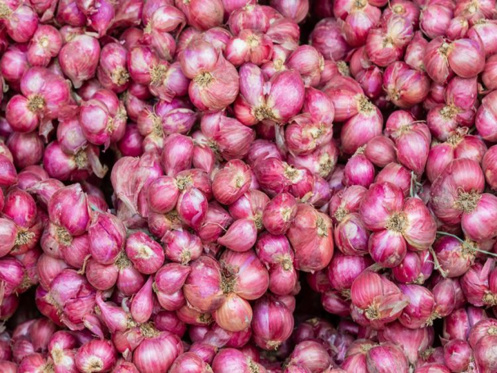 Penurunan harga bawang merah dan bahan pangan pokok jadi salah satu pemicu deflasi (foto: UpLand)