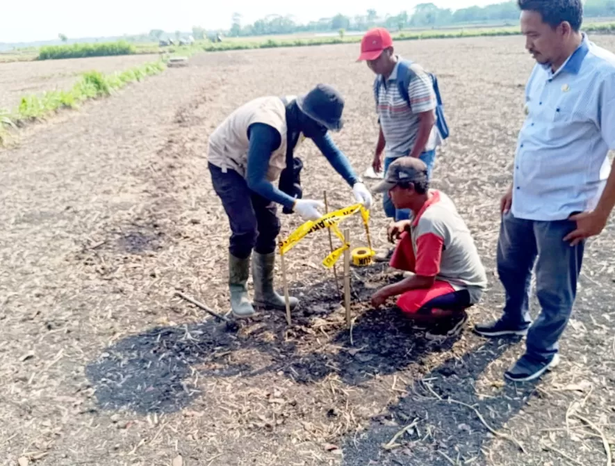 Petugas teknis Badan Geologi Kementerian Energi dan Sumber Daya Mineral (ESDM) saat memasang sejumlah alat geofisika di wilayah Kecamatan Kradenan. (INTAN MAYLANI SABRINA/RADAR KUDUS)