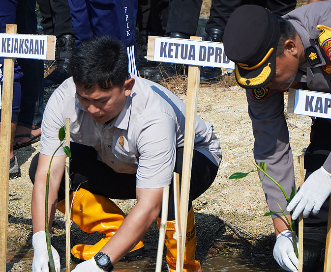 Partisipasi anggota DPRD Jepara, Khoirul Anam, dalam kegiatan penanaman bibit mangrove yang digelar untuk memperingati HUT TNI ke-79