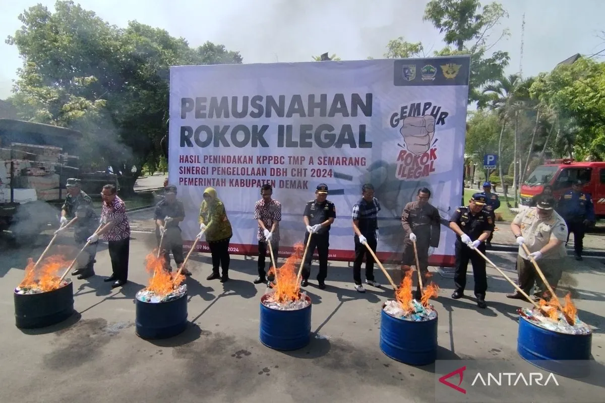 pemusnahan rokok ilegal di halaman Gedung Grhadika Bina Praja Demak, Kamis (7/11/2024). ANTARA/Akhmad Nazaruddin Lathif