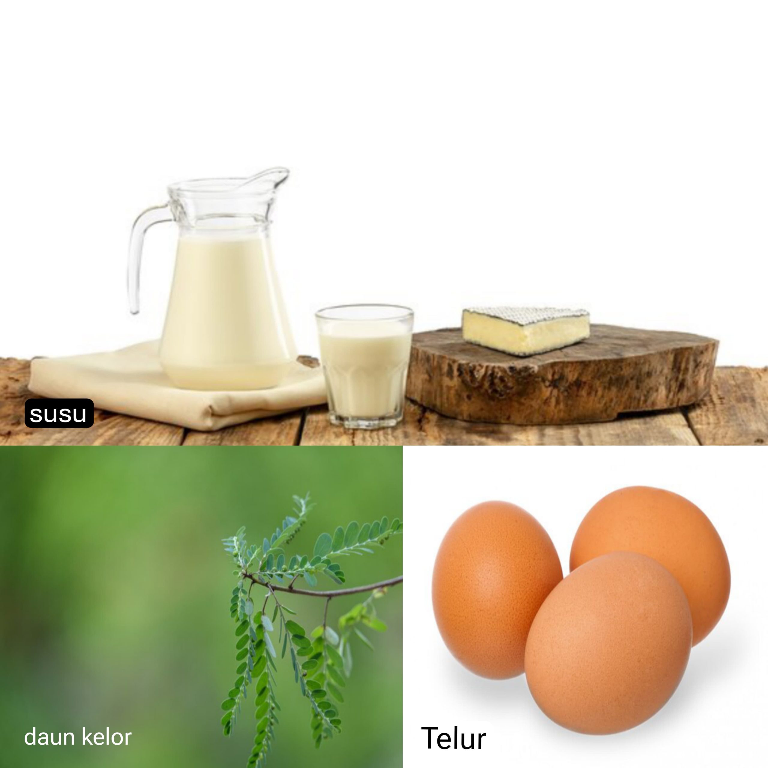 Ilustrasi: Telur dan Daun Kelor Menjadi Opsi Pengganti Susu dalam Makan Bergizi Gratis
