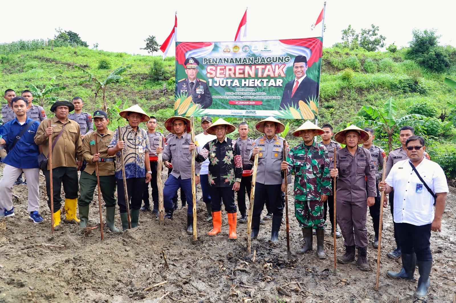 Kegiatan penanaman jagung serentak berlangsung di wilayah pegunungan Patiayam Dukuh Krangit baru, Desa Terban, Kecamatan Jekulo, Kabupaten Kudus, pada Selasa (21/10/2025)