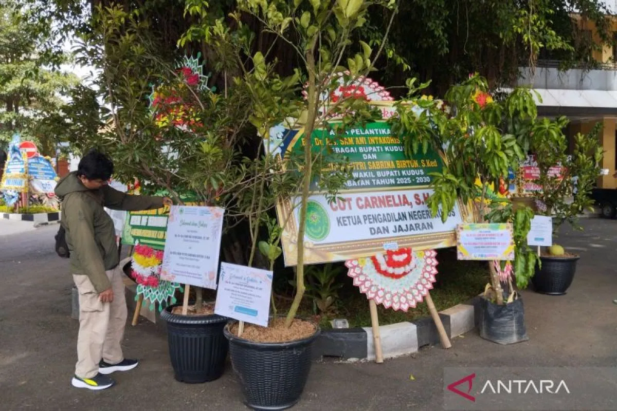 Sejumlah bibit tanaman buah yang dikirimkan sebagai ucapan selamat atas pelantikan bupati dan wakil bupati Kudus, Kamis (20/5/2025) (foto: ANTARA)