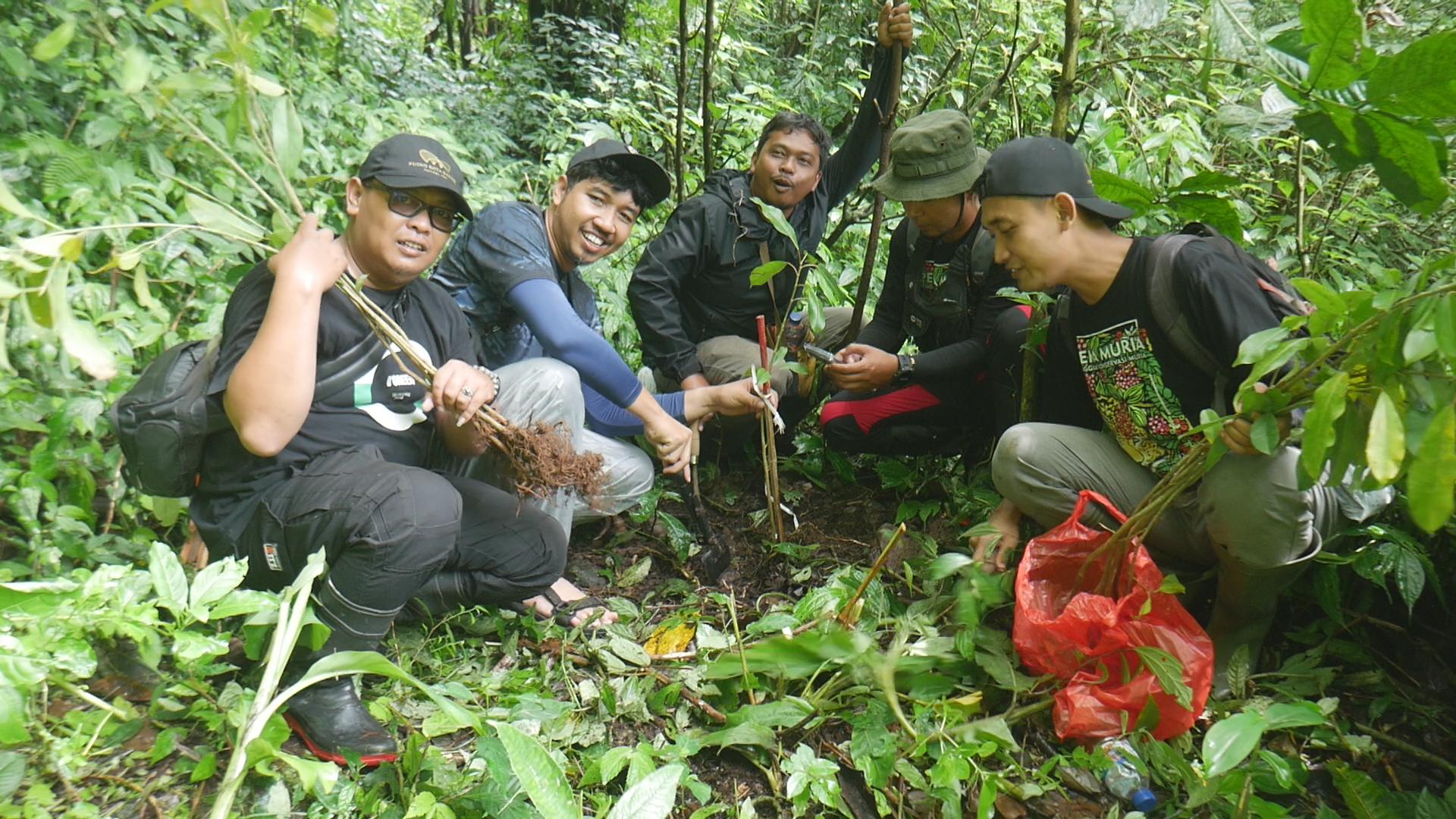 Penanaman bibit Ficus bergat di Lereng Gunung Muria oleh Persatuan Wartawan Indonesia (PWI) Kabupaten Kudus berkolaborasi dengan Pegiat Konservasi Alam (PEKA) Muria pada Minggu, 9 Februari 2025 bertepatan dengan peringatan Hari Pers Nasional