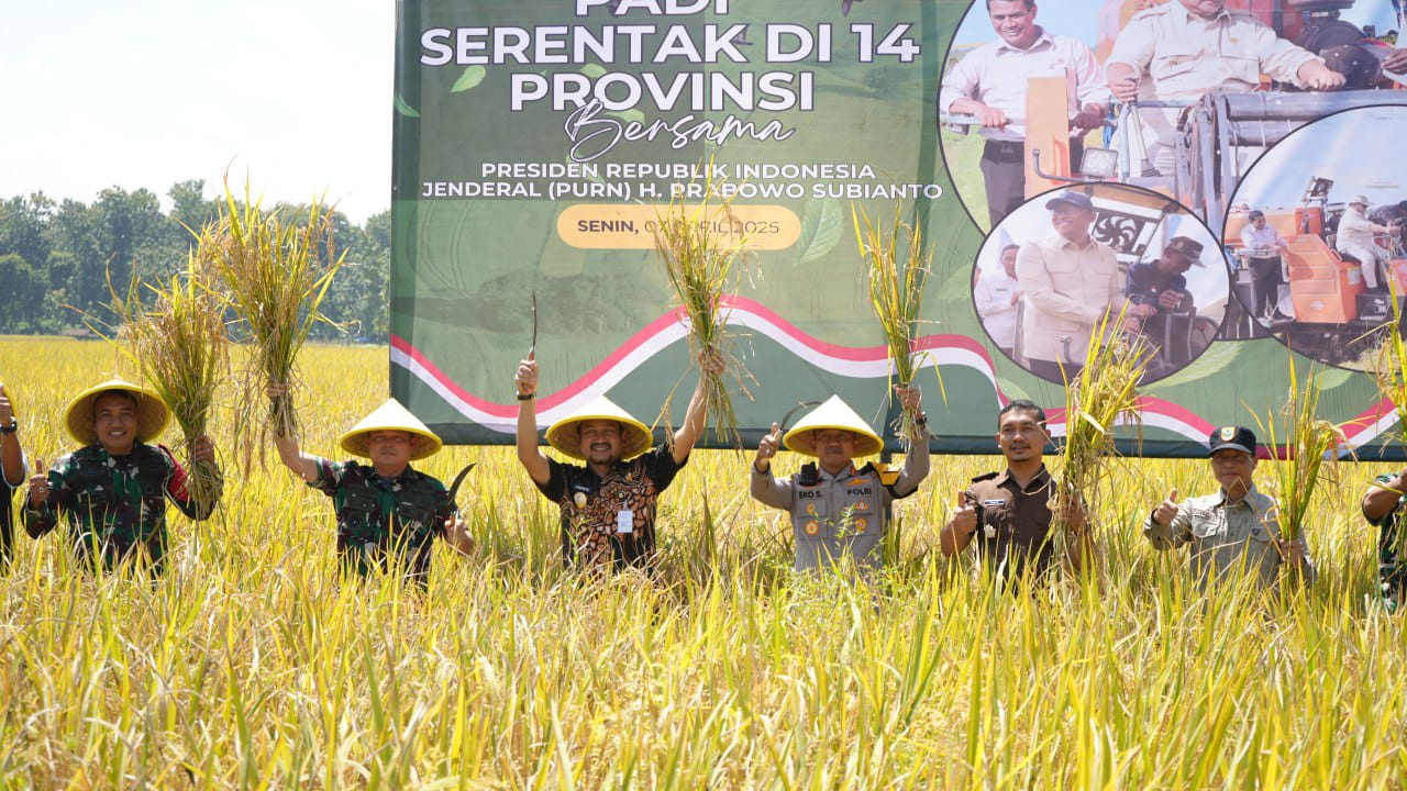 Panen raya padi serentak digelar di 14 provinsi di seluruh Indonesia (foto: jatengprov.go.id)