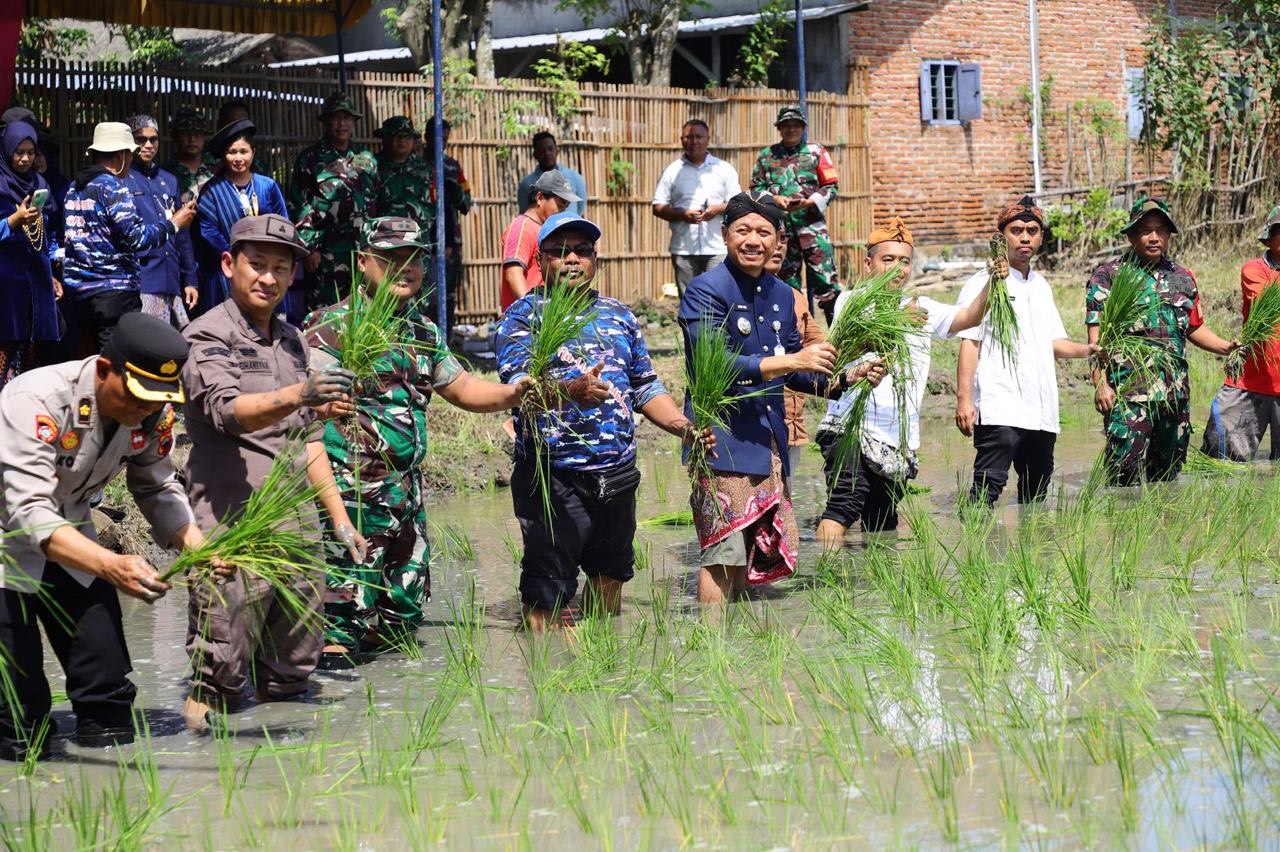 Gerakan tanam padi serentak di area persawahan Desa Pladen Kecamatan Jekulo, Rabu (23/4/2025)