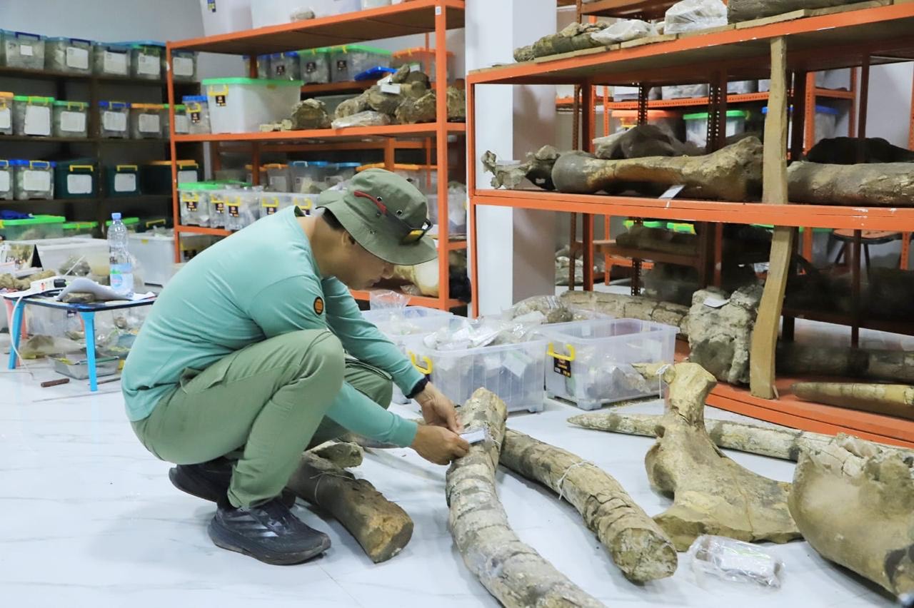 Bupati Kudus Sam'ani Intakoris saat melakukan peninjauan ke Museum Situs Purbakala Patiayam pada Sabtu, (5/4/2025)