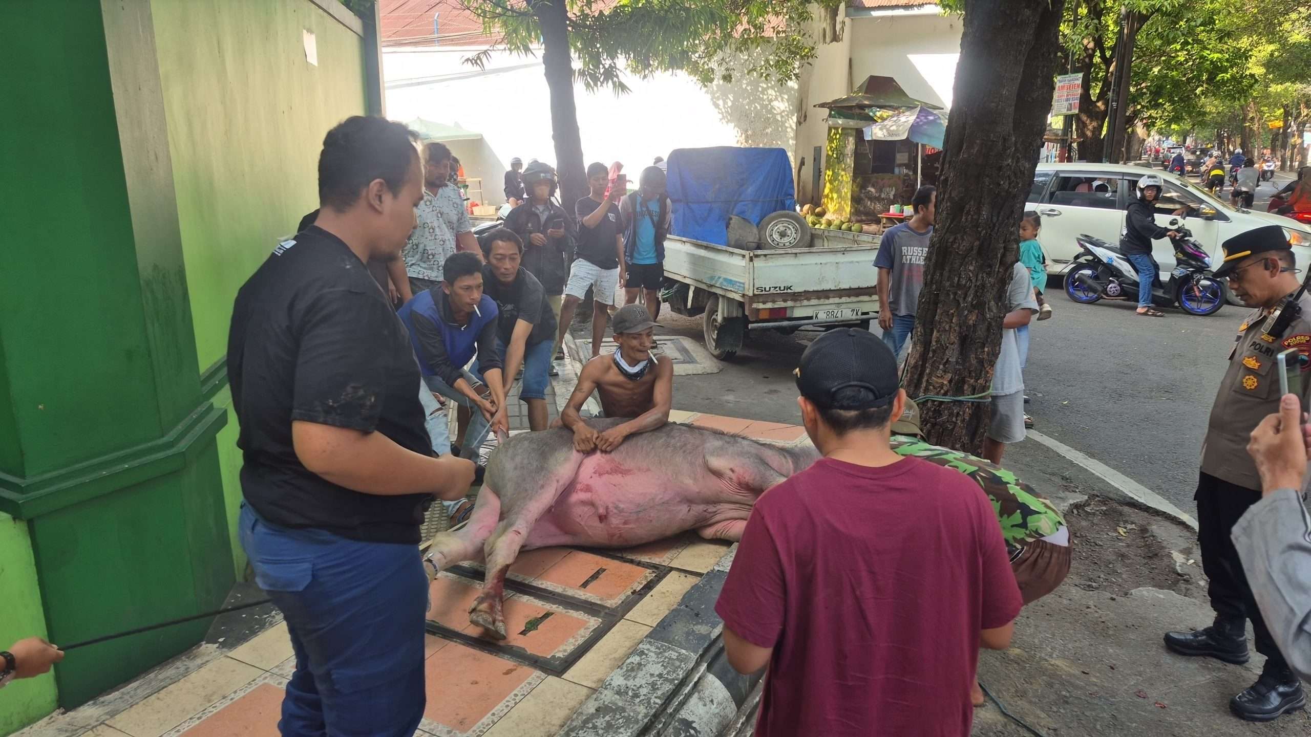 Proses penyembelihan kerbau kurban Rumah Sakit Sarkies, Purwosari, Kecamatan Kota Kudus yang sempat lepas dilakukan di belakang SMPN 2 Kudus, Minggu (8/6/2025)