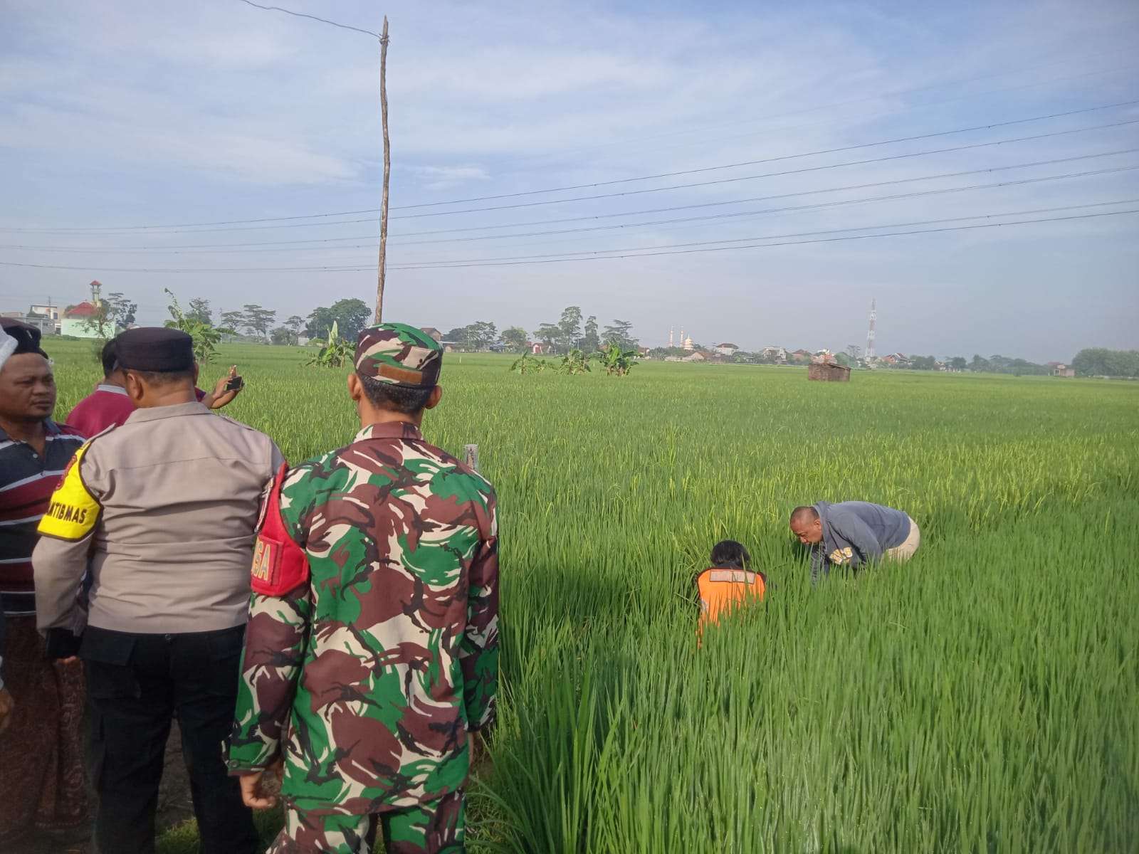 Kepolisian melakukan olah TKP jebakan tikus listrik yang menelan korban di area persawahan di Desa Gamong, Kecamatam Kaliwungu, Kabupaten Kudus pada Jumat (12/9)