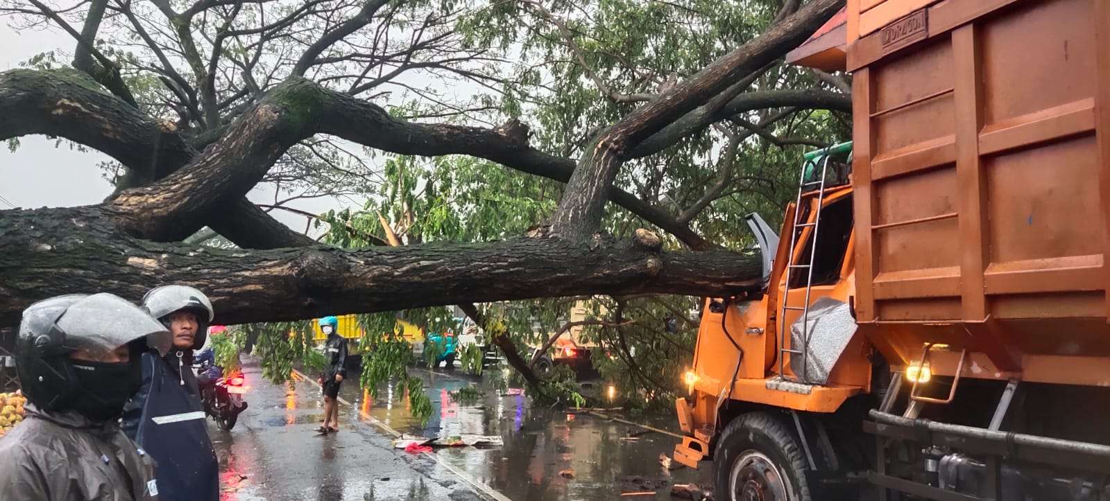Truk yang tertimpa pohon tumbang di jalan Kudus - Pati, tepatnya di Desa Terban, Kecamatan Jekulo, Kabupaten Kudus pada Jumat (24/10) sore