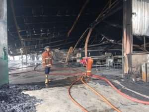 WhatsApp Image 2026 01 17 at 16.16.46